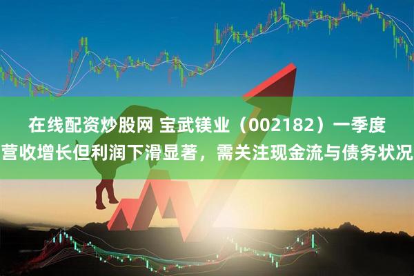 在线配资炒股网 宝武镁业（002182）一季度营收增长但利润下滑显著，需关注现金流与债务状况