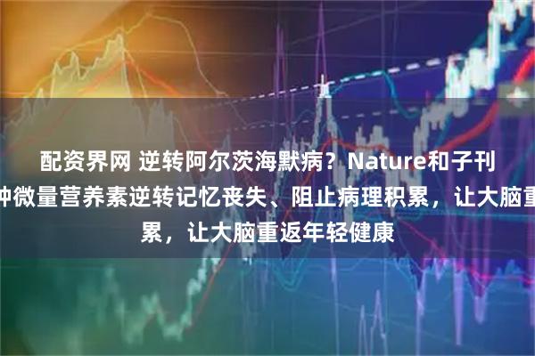 配资界网 逆转阿尔茨海默病？Nature和子刊：补充这两种微量营养素逆转记忆丧失、阻止病理积累，让大脑重返年轻健康
