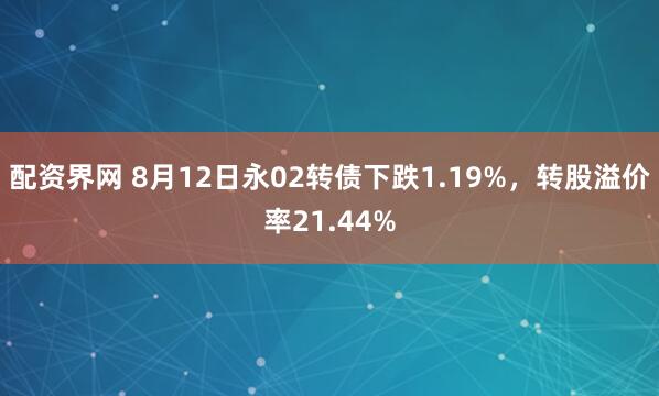 配资界网 8月12日永02转债下跌1.19%，转股溢价率21.44%